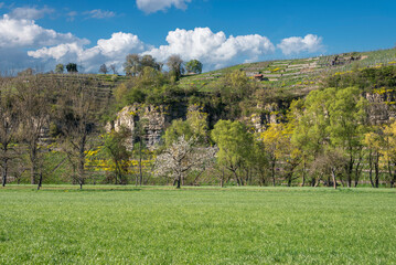 Nature reserve Felsengarten at the Enz loop nearby Muhlhausen on the Enz