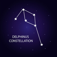 Obraz na płótnie Canvas The constellation Delphinus with bright stars. Vector illustration.