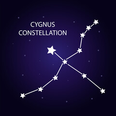 Fototapeta na wymiar The constellation of Cygnus with bright stars. Vector illustration.
