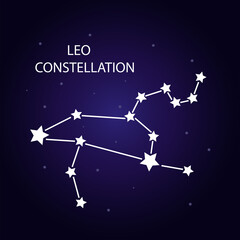 Obraz na płótnie Canvas The constellation of Leo with bright stars. Vector illustration.
