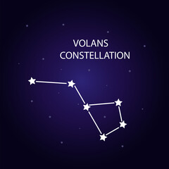 Obraz na płótnie Canvas The constellation of Volans with bright stars. Vector illustration.