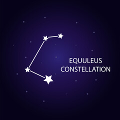 Obraz na płótnie Canvas The constellation of Equuleus with bright stars. Vector illustration.