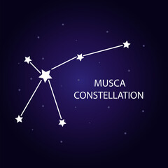 Fototapeta na wymiar The constellation of Musca with bright stars. Vector illustration.