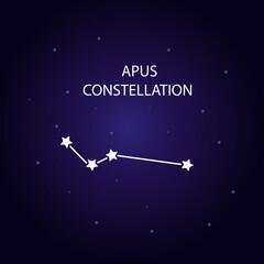 The constellation of Apus with bright stars. Vector illustration.