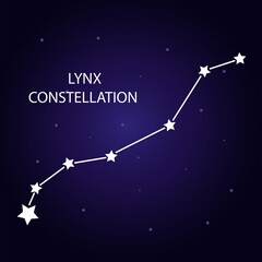 Fototapeta na wymiar The constellation of Lynx with bright stars. Vector illustration.