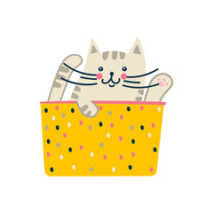 cat in a box isolated on white background. Funny pet. Cute print for clothes, notepad, poster. Vector illustration, hand drawn