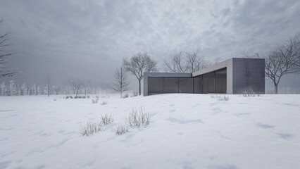 Fototapeta na wymiar 3D rendering illustration of modern house with snow landscape