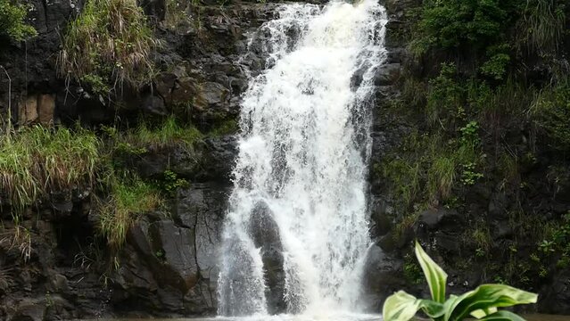 Slow motion video of water fall in Hawaii.  Large waterfall and tropical cliff.  Raging waters on the North Shore of Oahu.