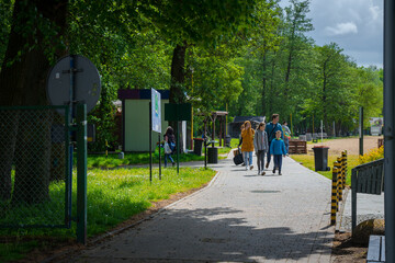 Fototapeta rodzina spaceruje po alejce w parku wiosną obraz