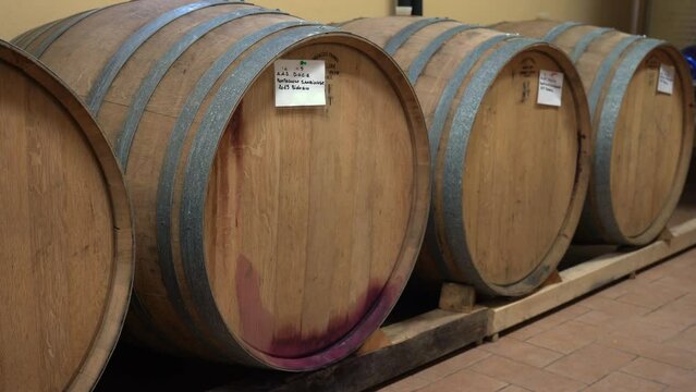 Europe, Italy, French oak wine barrels for aging to refine wine the barriques - Tuscany and production of high quality organic wine
