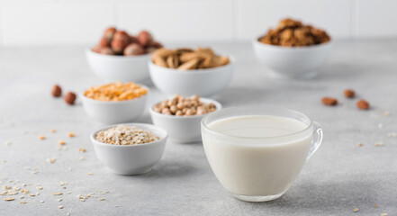 Vegetable milk in a mug on the background of bowls with nuts, oatmeal and legumes. An alternative to dairy products.