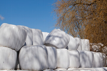 Foiled hay bales against a blue sky.