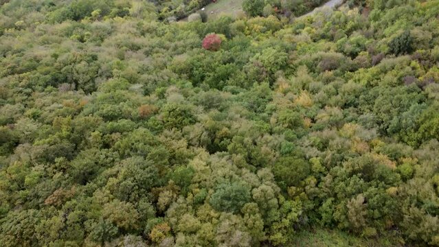 drone footage from above. camera movement that reveals a village and countryside at the base of the mountain. No tone correption, the footage will adapt for spring/summer videos