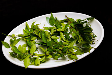 raw curry leaves (kariveppila) in white plate