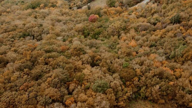 drone footage from above. camera movement that reveals a village and countryside at the base of the mountain. Color correction to adapt footage for fall/winter videos