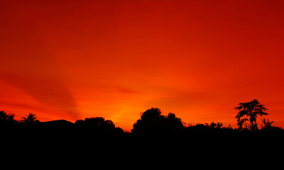 sunset, orange sky bush tree Silhouette black background nature - Powered by Adobe