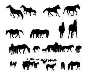 Set of horse silhouette in line art style.Horse vector by hand drawing.Horse tattoo on white background.Illustration of a herd of horses running in the meadow