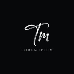 Letter TM luxury logo design vector