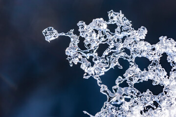 Fototapeta premium 凍った雪