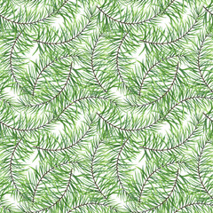 Watercolor branches of a pine tree. Green fluffy branches. Seamless pattern of evergreen plant on white background.