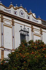 Sevilla, Spain,Andalusia, vicoli e palazzi