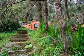 Country house surrounded by vegetation at El Lance in Gran Canaria. Spain.