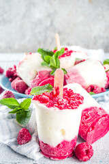 Homemade raspberry yogurt popsicle