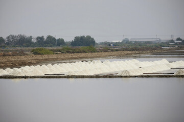 Dried salt at salt pan ready for harvesting