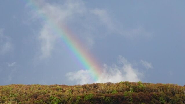 Rainbow in the sky after the rain over the forest.