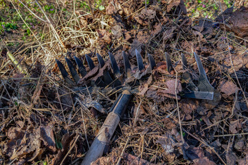 rake on withered grass and leaves. clearing leaves in a park or backyard