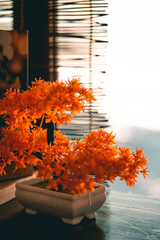 Orange artificial bonsai tree in Japanese restaurant with selective focus point