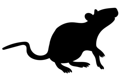 mouse silhouette, on white background, isolated, vector