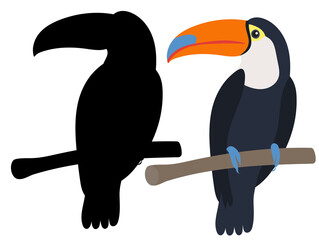 Fototapeta premium toucan flat design, isolated on white background, vector