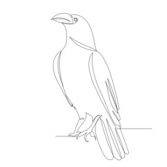 bird, crow drawing by one continuous line, sketch vector