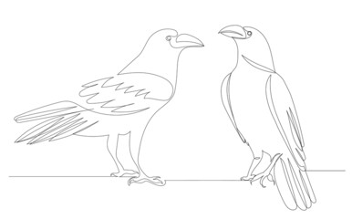 bird, crow drawing by one continuous line, sketch