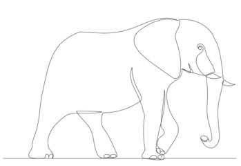 elephant drawing by one continuous line, sketch