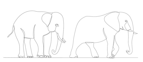 elephant drawing by one continuous line, sketch vector