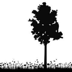 tree silhouette, on white background, isolated, vector