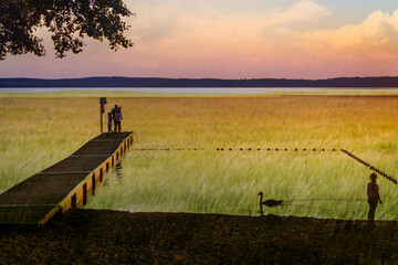 sunset on the lake, łabądz i dziewczynka na plaży nad jeziorem.
