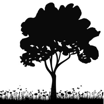 tree silhouette, on white background, isolated