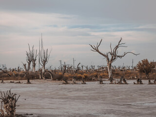 After sunset in Epecuén, Argentina