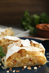 Delicious apple strudel with almonds, powdered sugar and mint on plate, closeup. Space for text