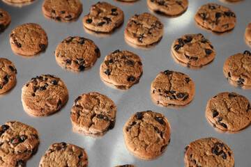 Many sweet delicious cookies on production line