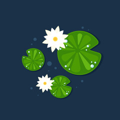 Lily pad and Lotus vector. wallpaper. free space for text. background. poster. lotus flower. © Supakorn