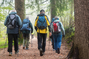 Roncesvalles Zubiri stage of the Way of St. James. Group of adult pilgrims