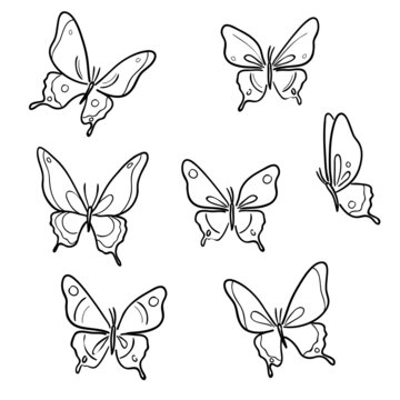 Line art vector butterfly illustrations.