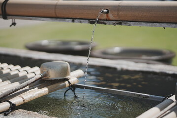 築地本願寺の手水場 Purification fountain of Tsukiji Honganji Temple 