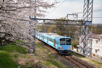 Naklejka premium 西武多摩川線