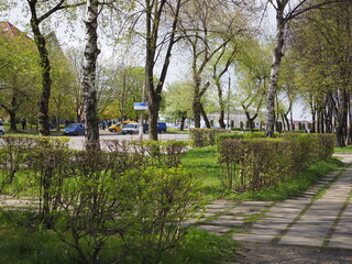 spring in the park