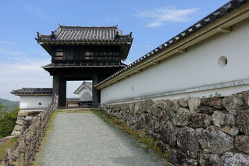 Fototapeta premium 高知城